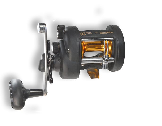 What Is An Inshore Reel?