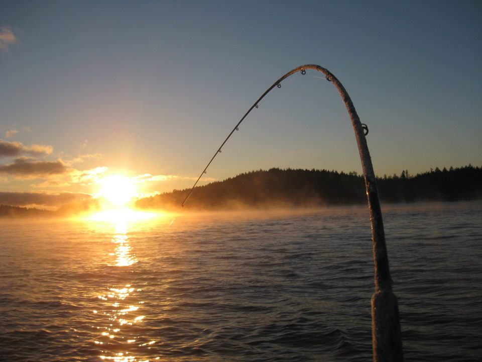 qualia fishing on the lake