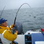reeling it in with a qualia fishing reel 2