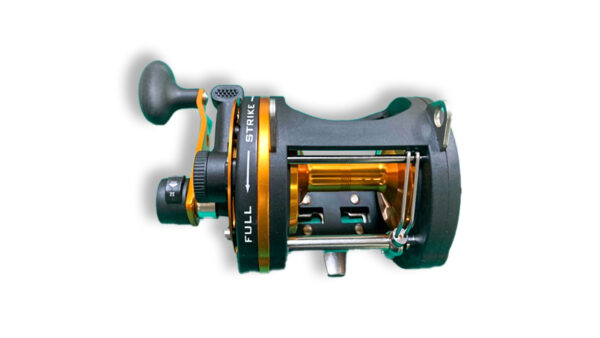 advanz q25 2l two speed reel